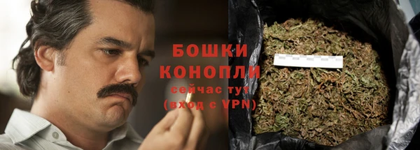эйфоретик Ладушкин