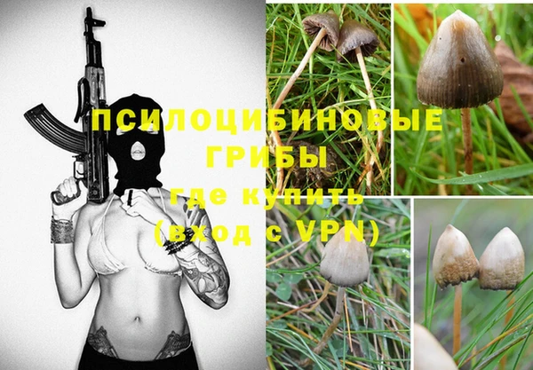 эйфоретик Ладушкин