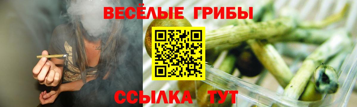 Псилоцибиновые грибы Magic Shrooms Сызрань